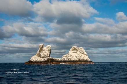 La Roca Partida Dive sites - Revilliagigedo Archipelago