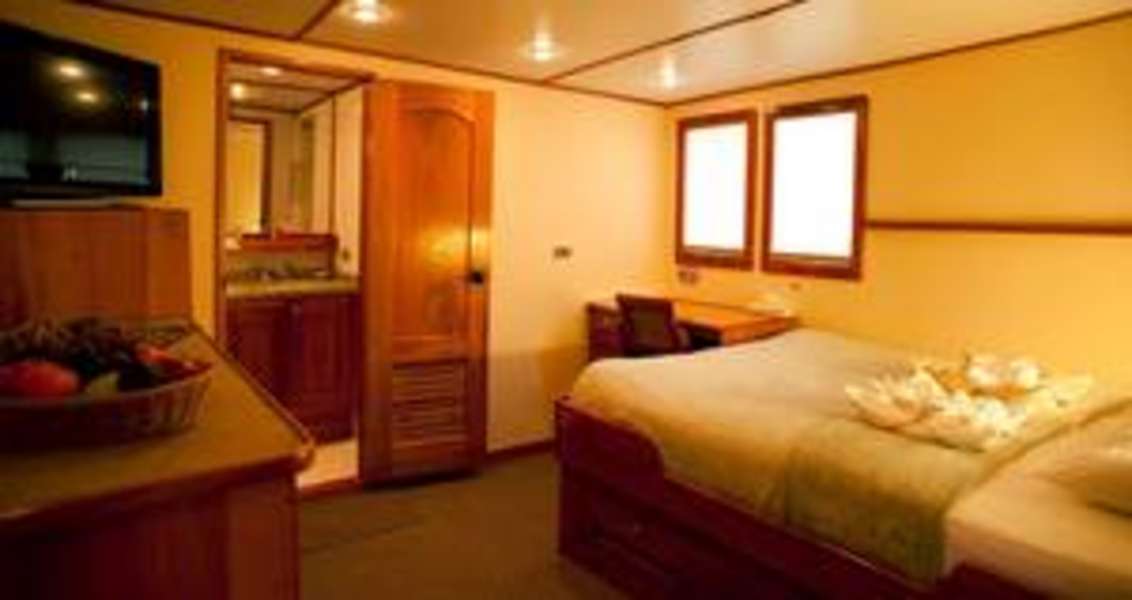 Suite on Sea Hunter Liveaboard Cocos diving cruises