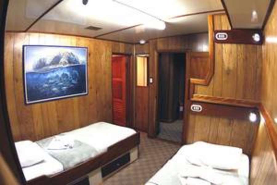 Cabin 2 on Sea Hunter Liveaboard Cocos diving cruises